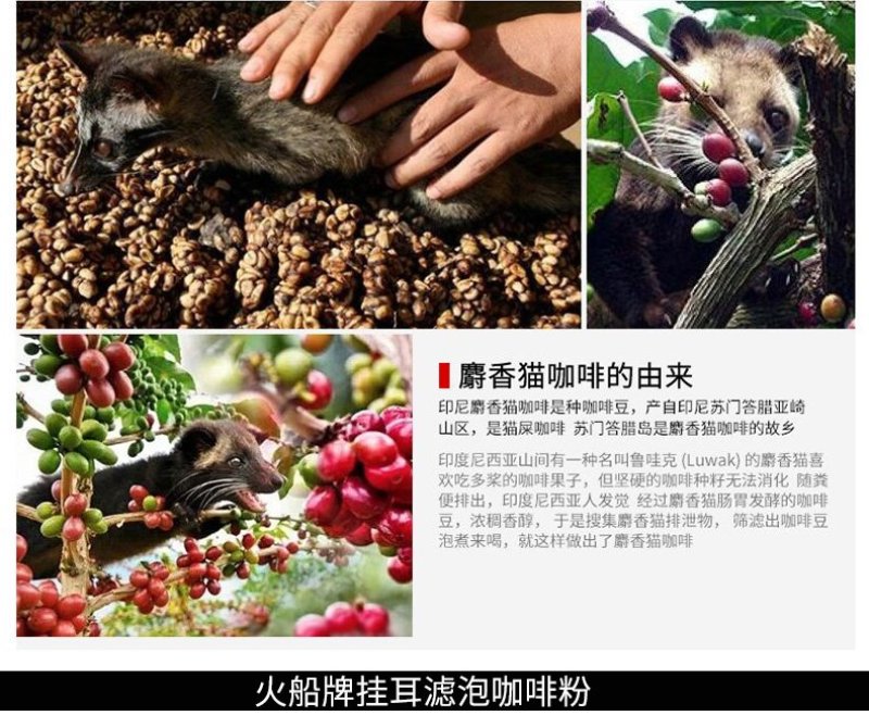 印尼进口火船麝香猫挂耳咖啡批发30元/袋600元/