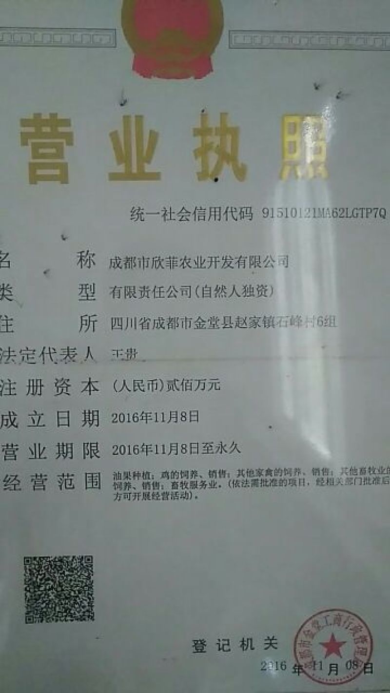 长年出售土鸡绿壳蛋鸡脱温苗，成品鸡！（省市县检验合格）