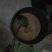 野蜂蜜1斤