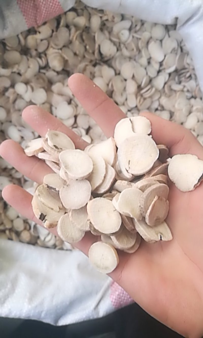白芍，白芍片子