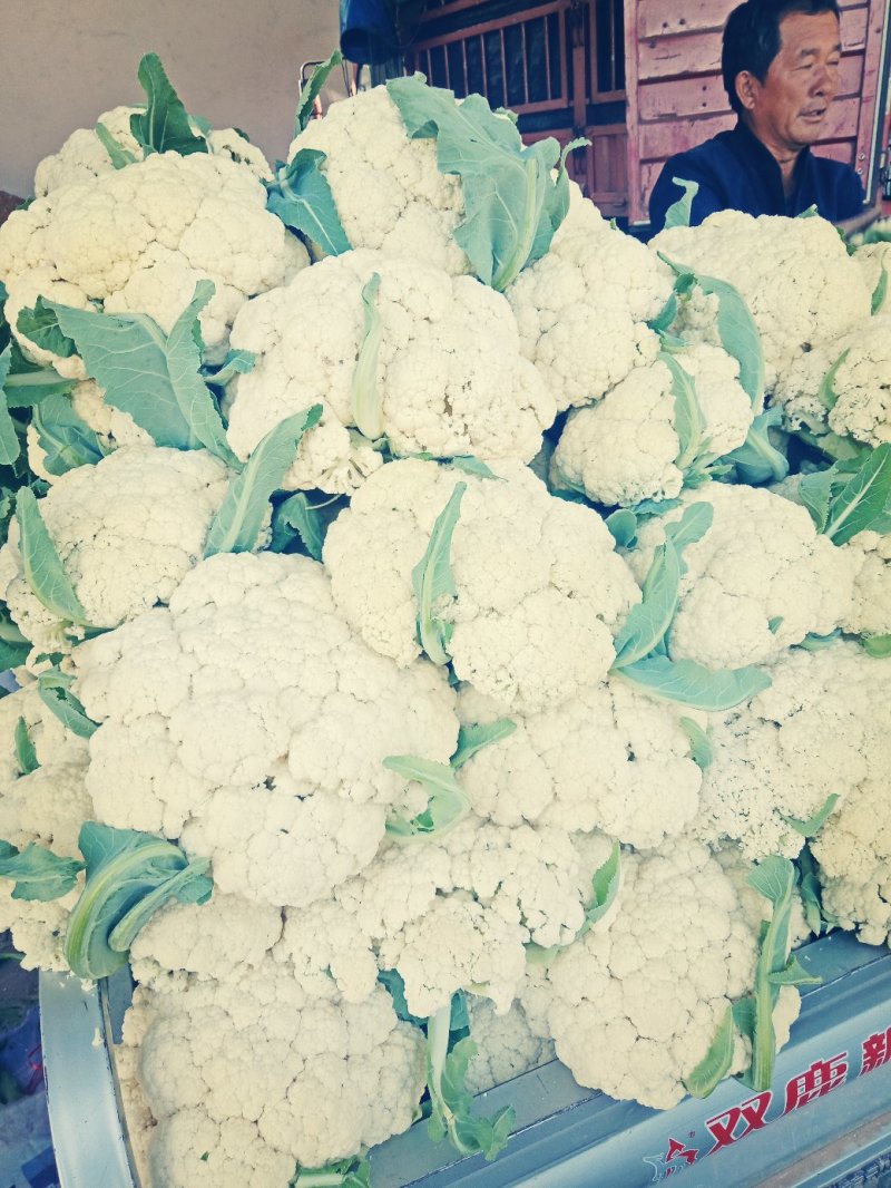 有机花菜，散花，色泽乳白，小米粒，个头均匀，