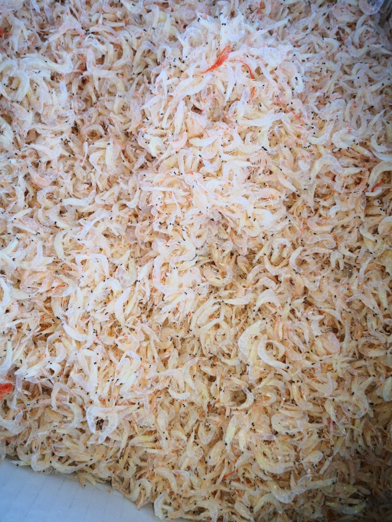虾皮淡干