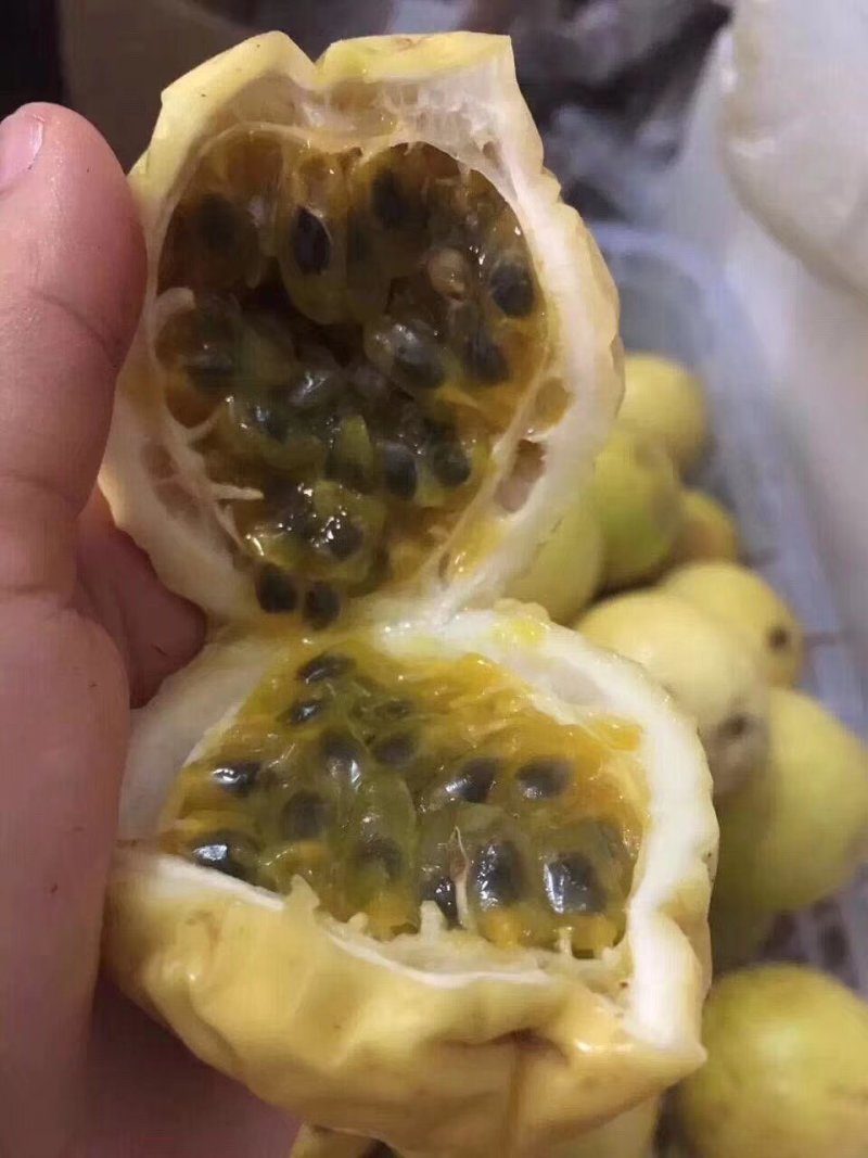 黄金百香果