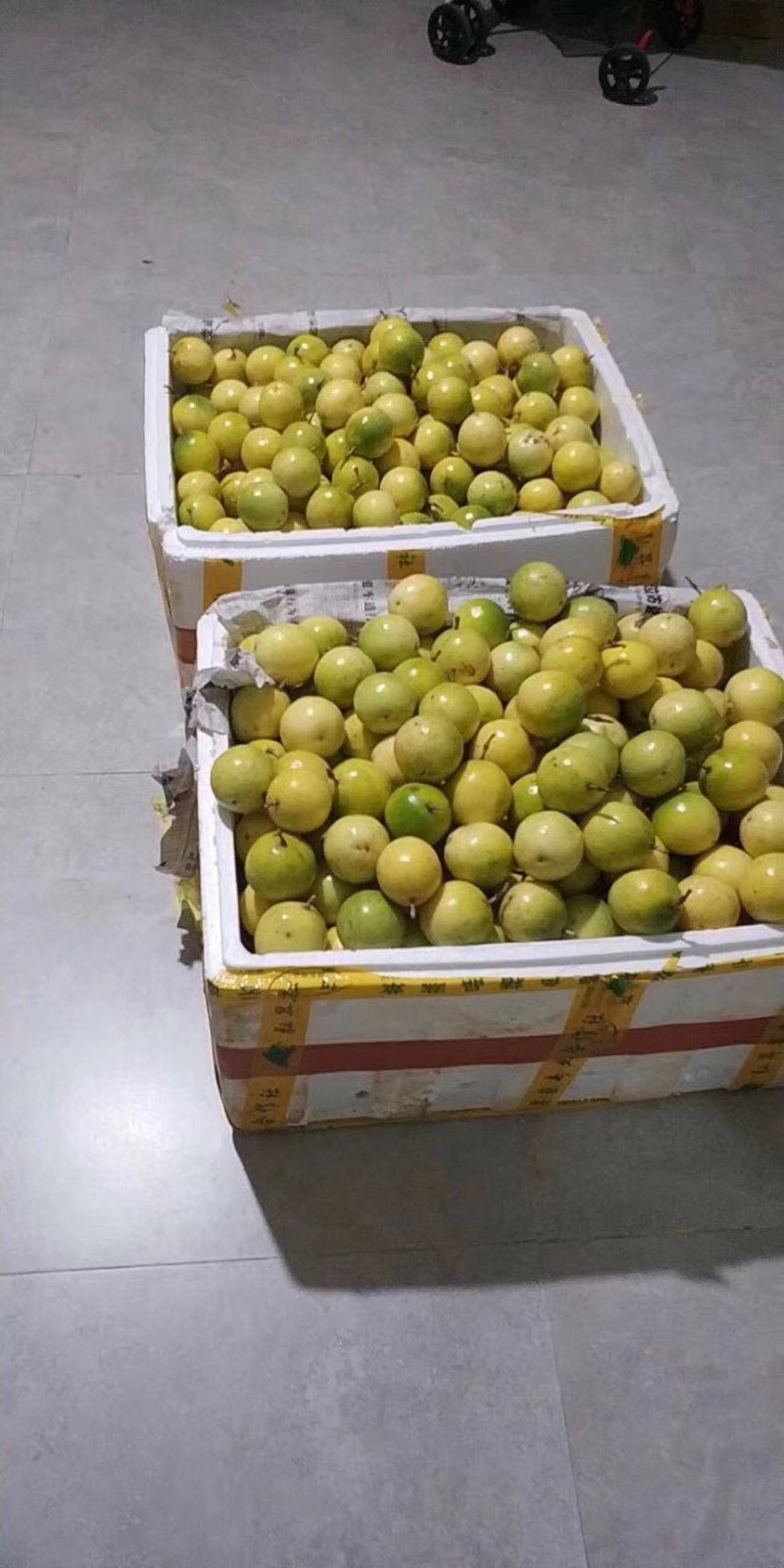 黄金百香果
