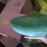 金煌芒