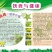 杨桃