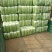 【实力商家】白菜北京三号白菜净菜山东精品常年有货