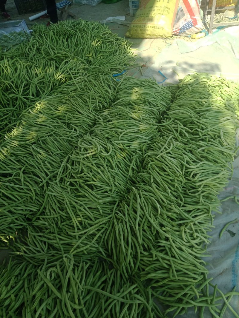 蔬菜