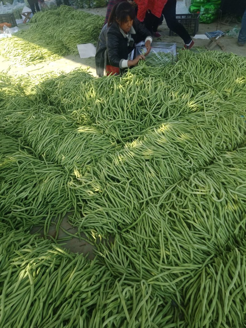 蔬菜