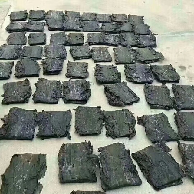 深海区海带无污染无公害绿色食品