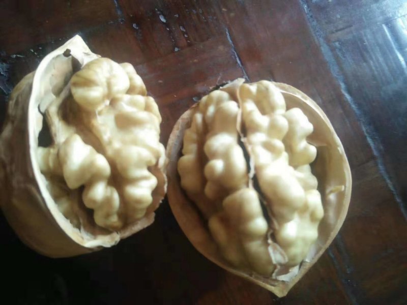 185纸皮核桃