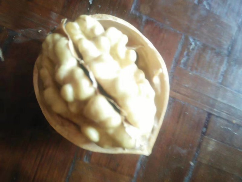185纸皮核桃