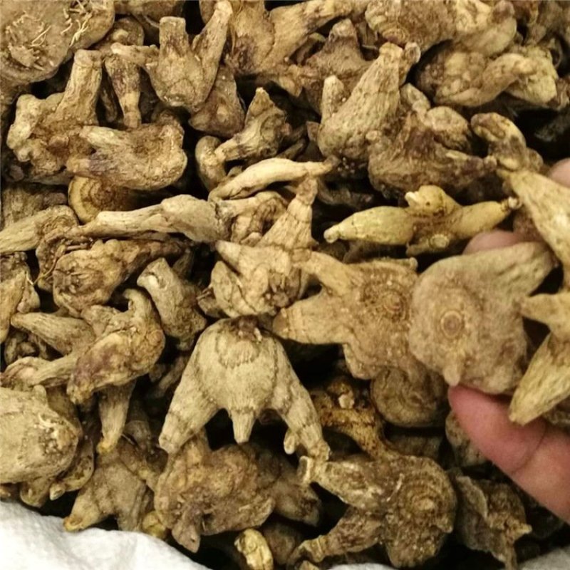 白芨包邮三叉白芨正品选货无硫磺质量保证包邮