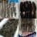 即食海参，大连刺参，福建刺参，各种干参，米刺参，残参
