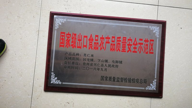 兴仁小薏米薏仁米苡米98米95米各种规格按要求生产