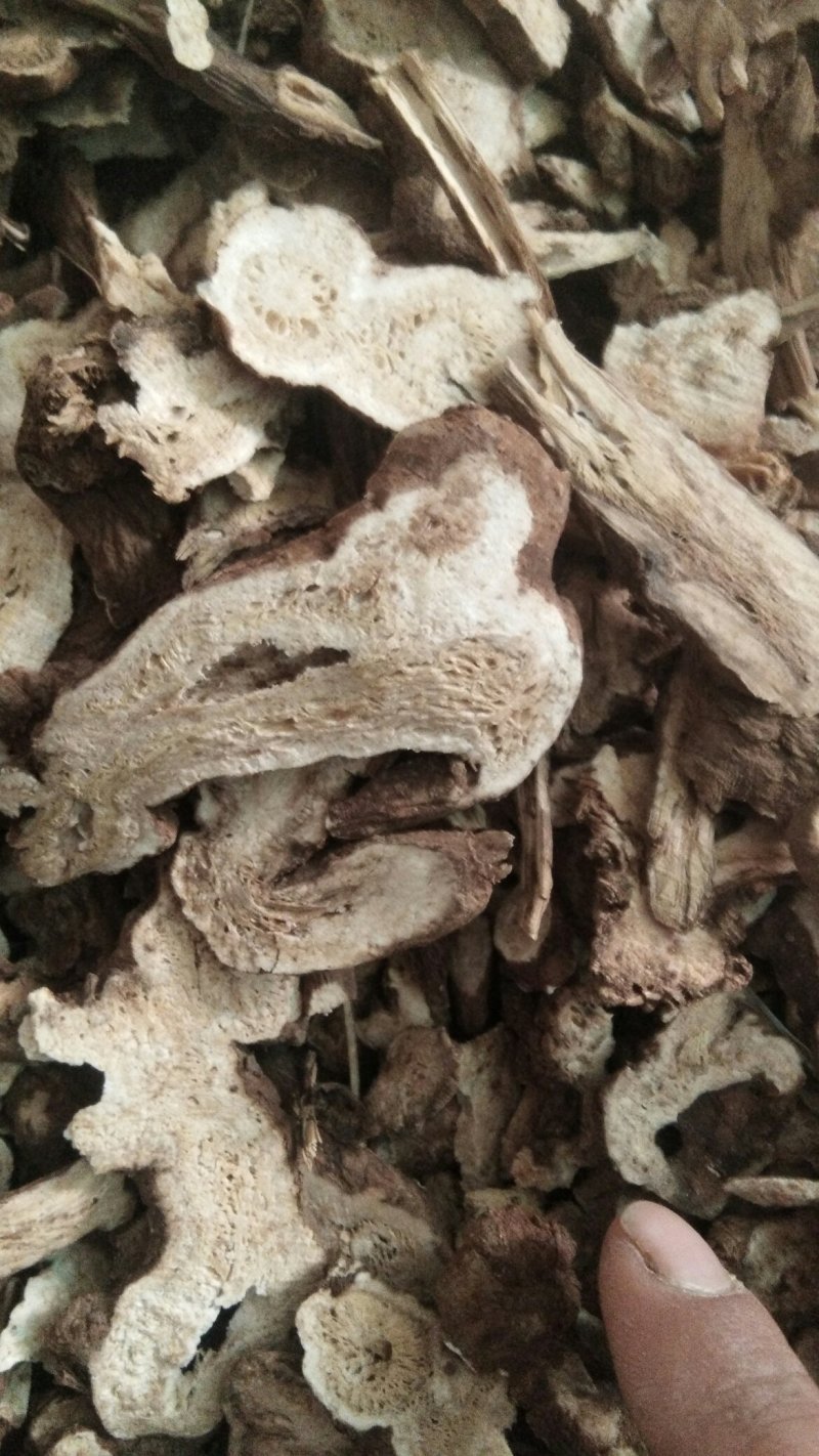 白术片