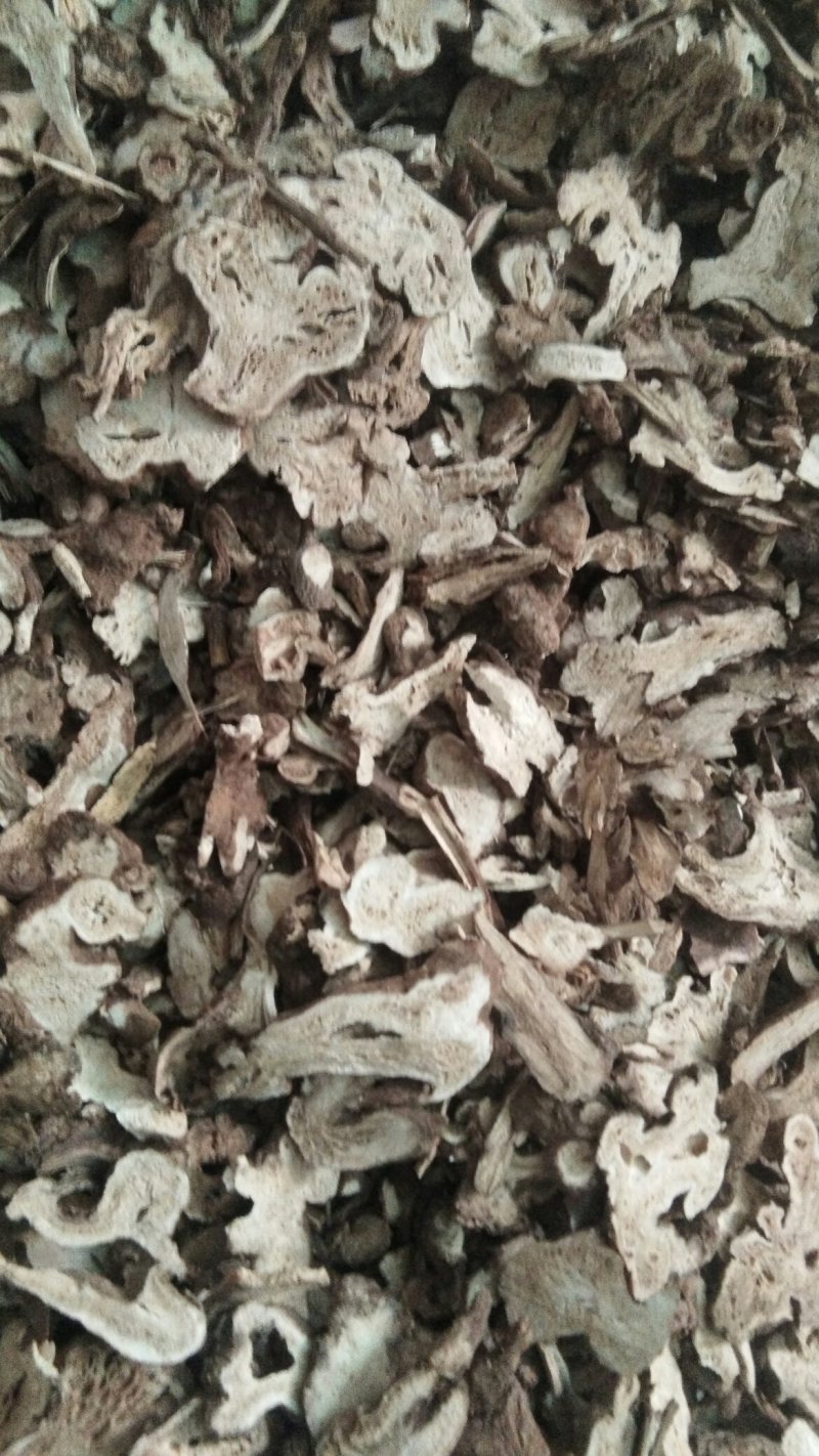白术片