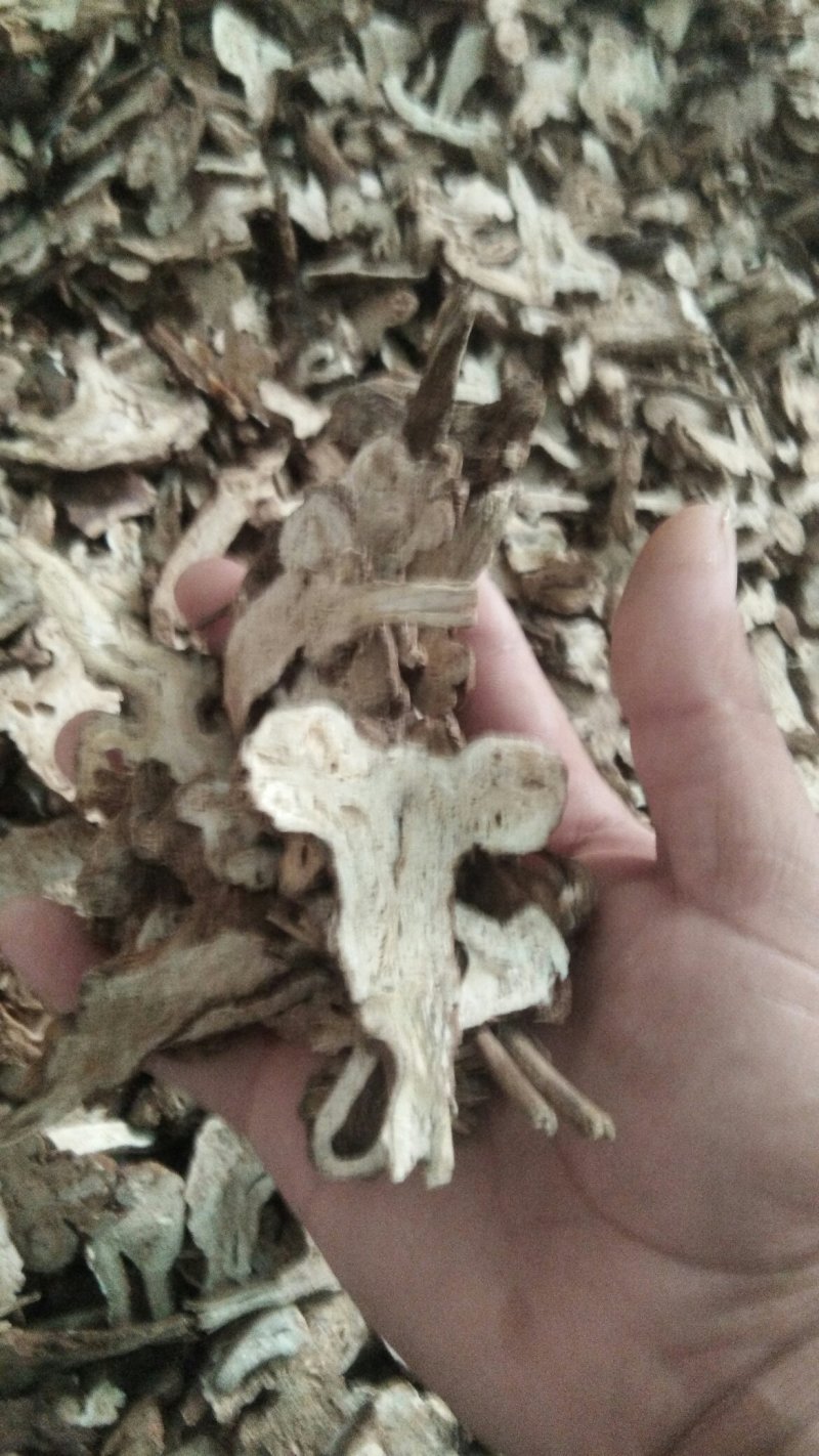 白术片