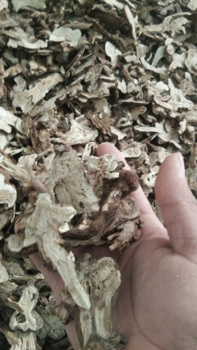 白术片