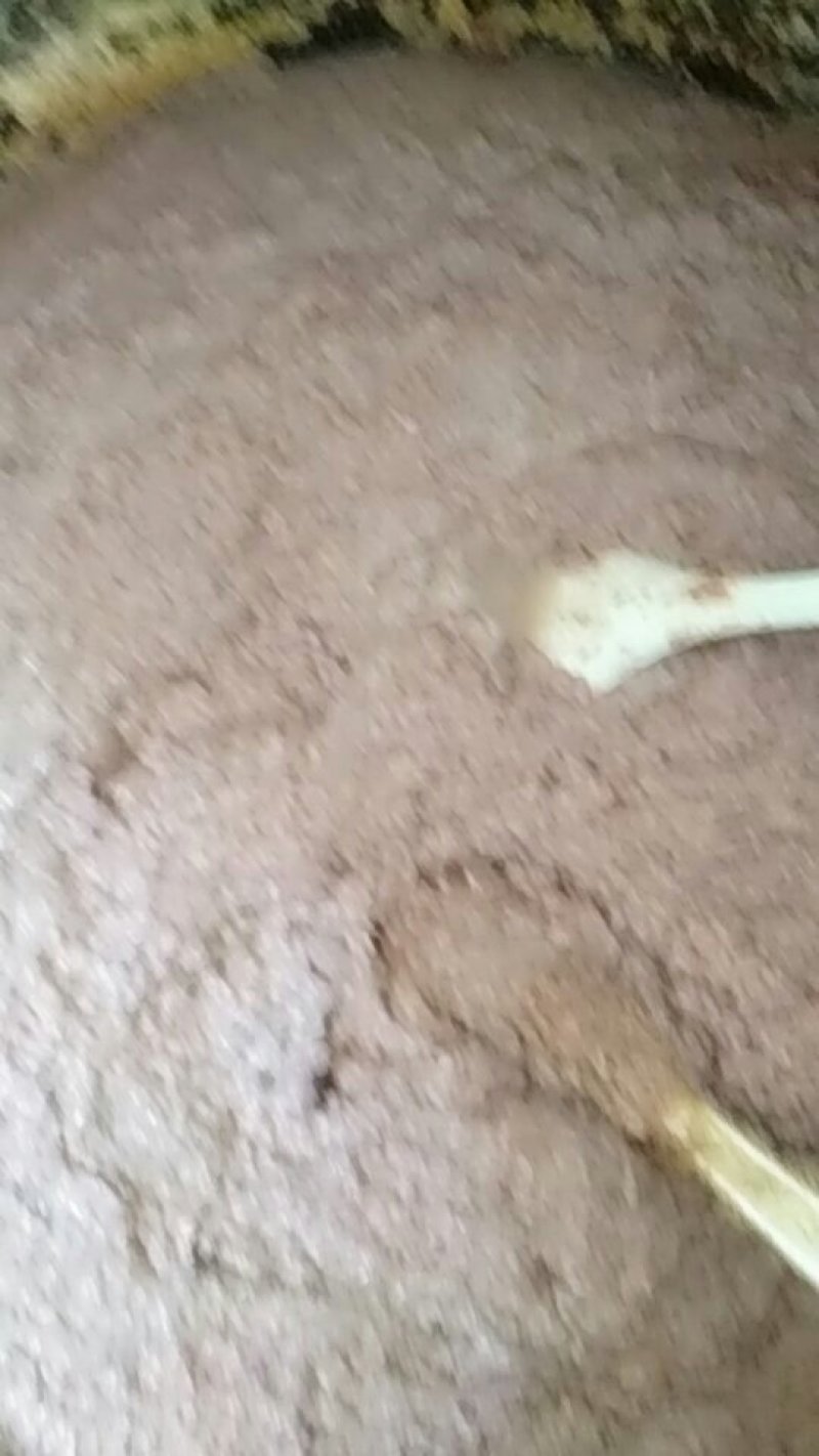 低盐虾酱，各种类型有盐无盐虾酱，各种鲜虾子