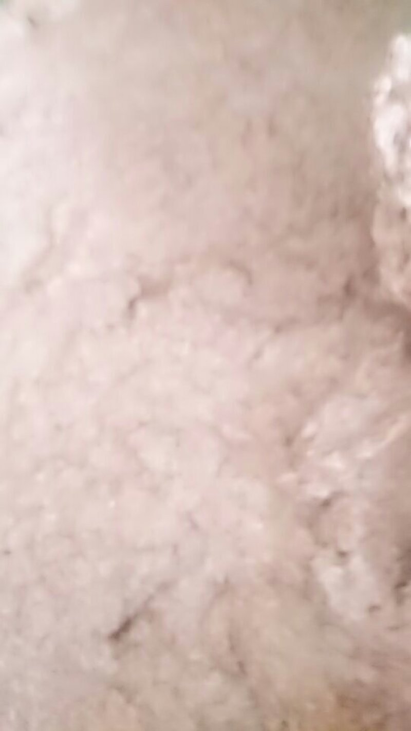无盐虾酱