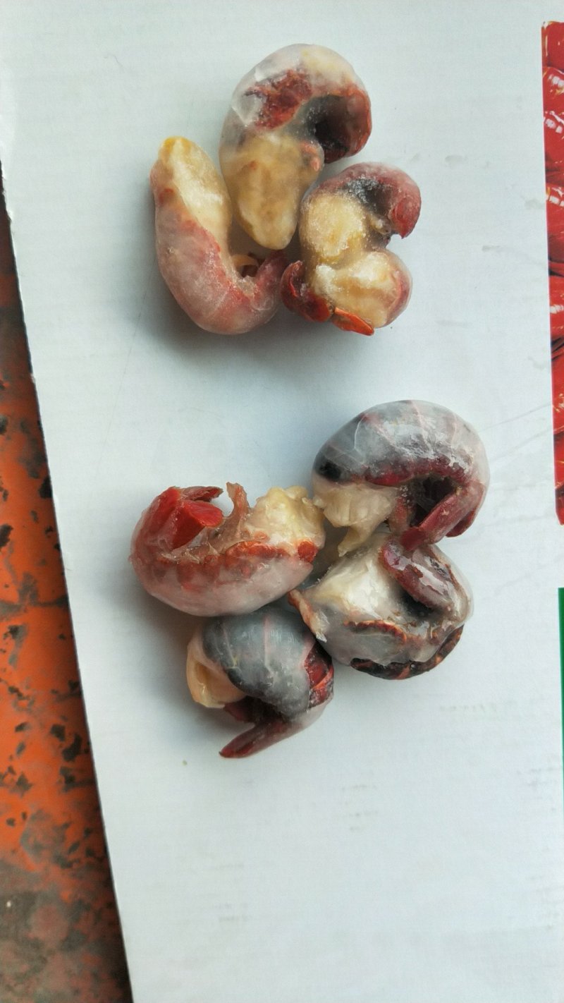 特大龙虾尾