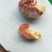 特大龙虾尾