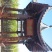 广西阳朔黑皮甘蔗，皮软、易嚼、汁多，味道甜蜜。