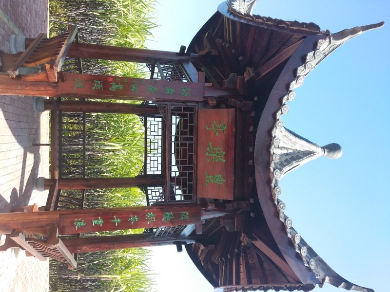 广西阳朔黑皮甘蔗，皮软、易嚼、汁多，味道甜蜜。