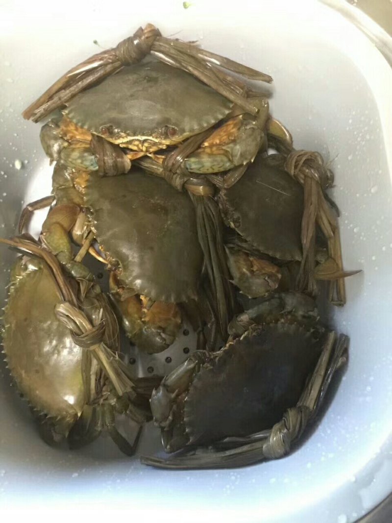 海青蟹，膏蟹