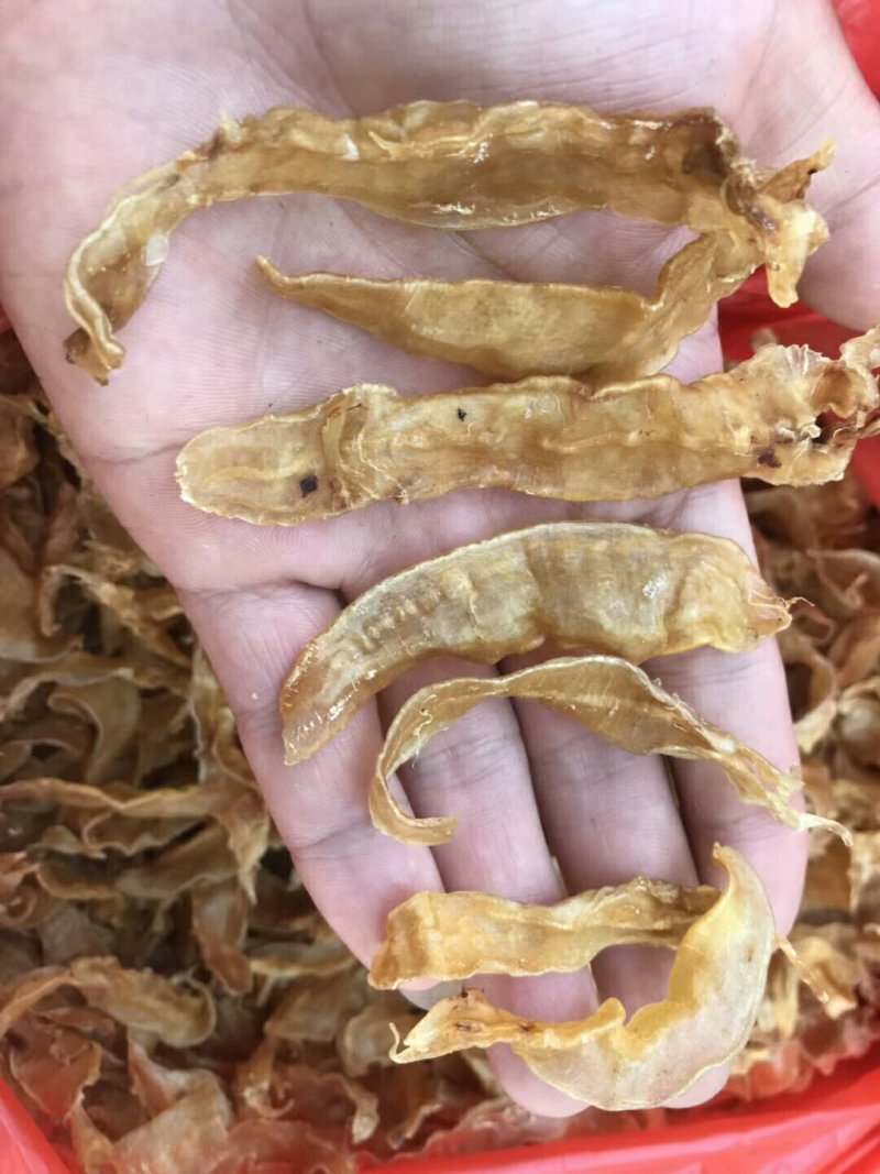 各种鱼干，鱼胶，蟮胶