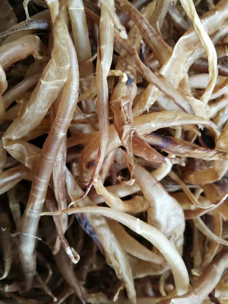 各种鱼干，鱼胶，蟮胶