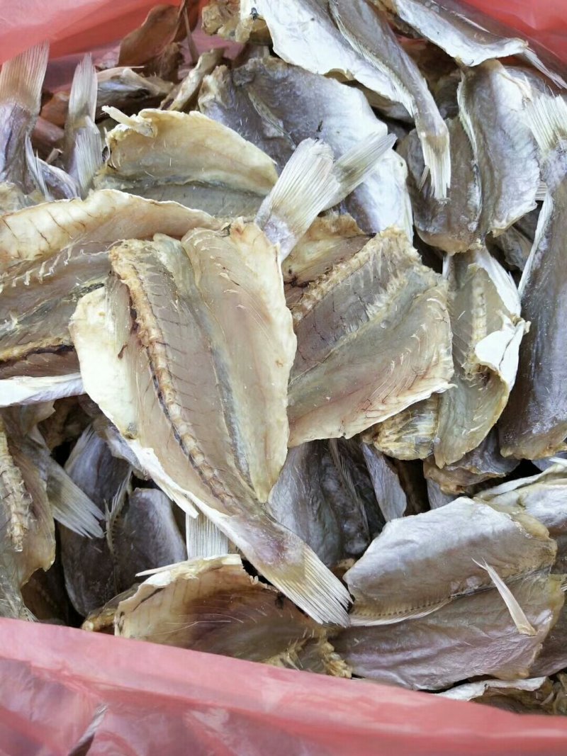 各种鱼干，鱼胶，蟮胶