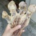 各种鱼干，鱼胶，蟮胶