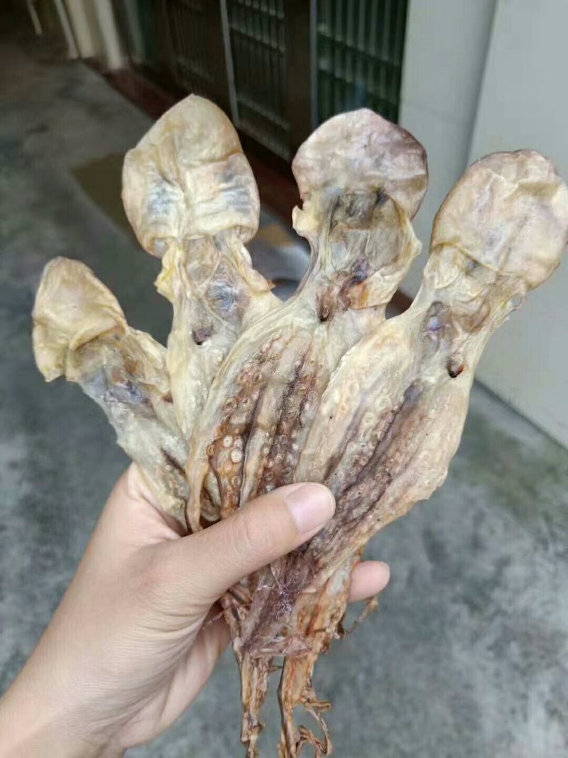 各种鱼干，鱼胶，蟮胶
