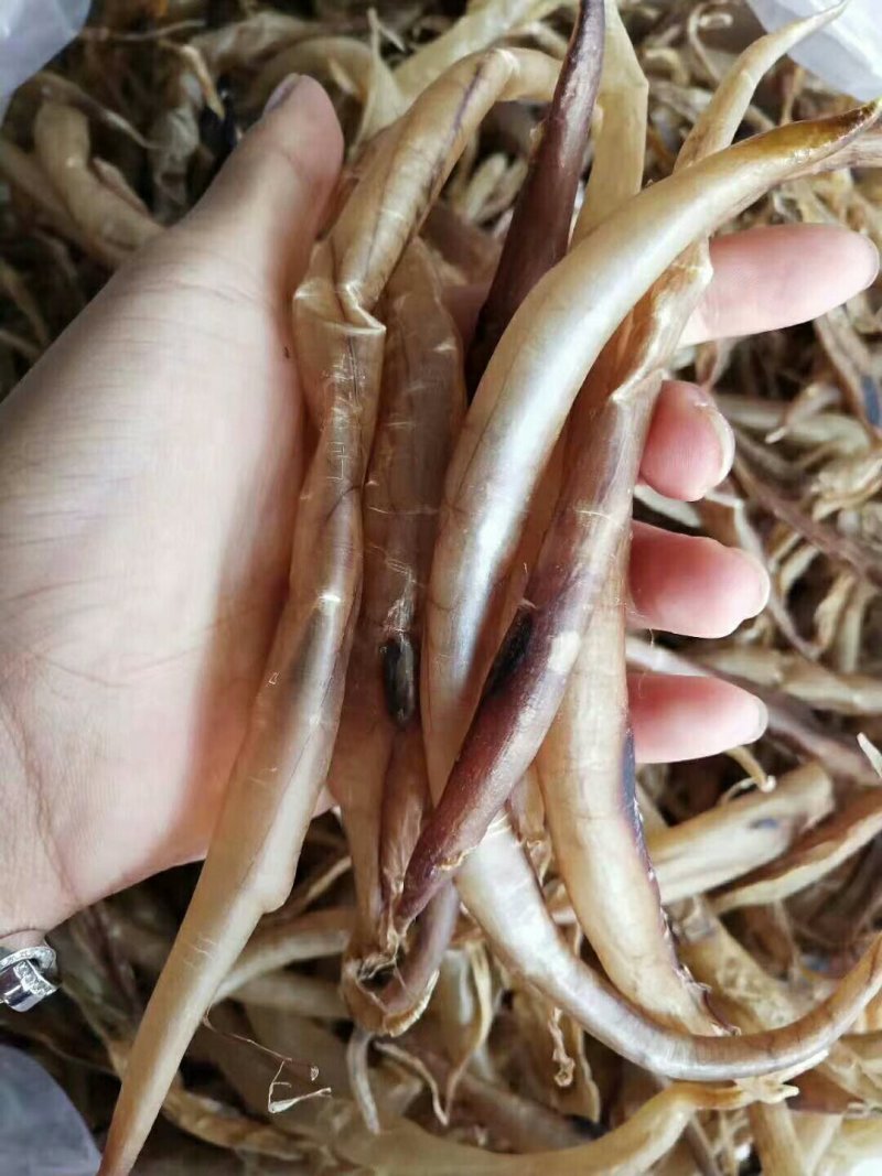 各种鱼干，鱼胶，蟮胶