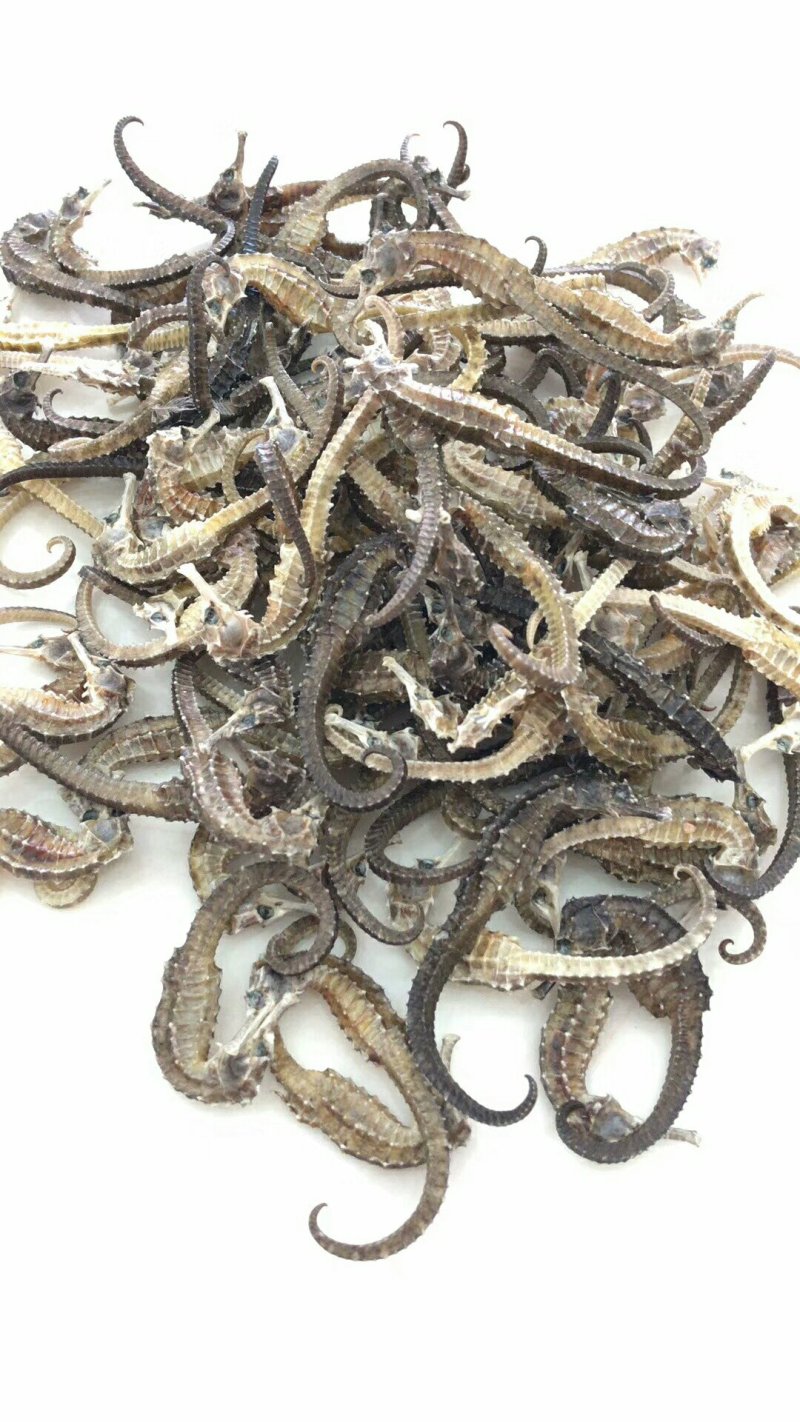 各种鱼干，鱼胶，蟮胶