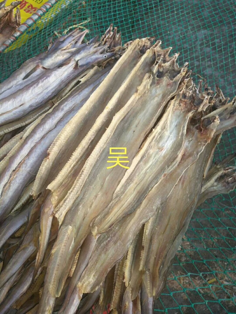 各种鱼干，鱼胶，蟮胶