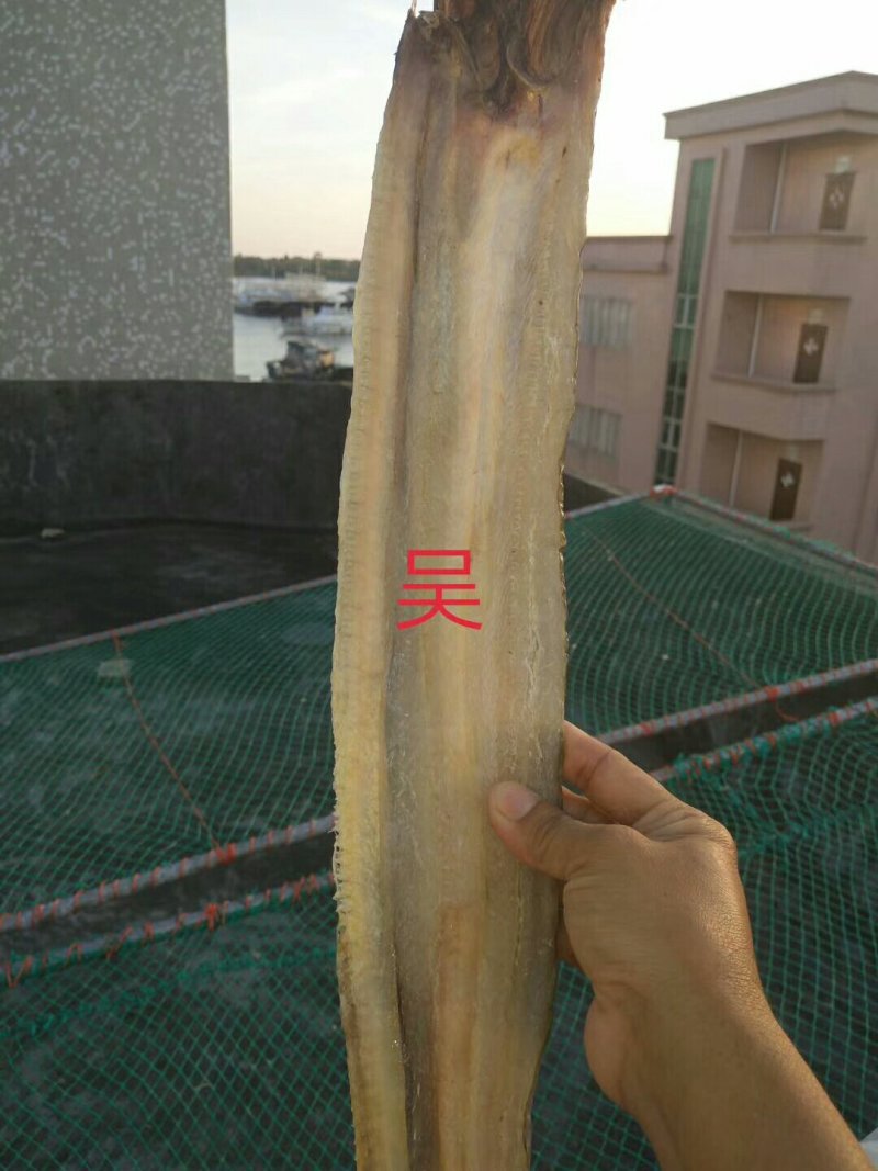 各种鱼干，鱼胶，蟮胶