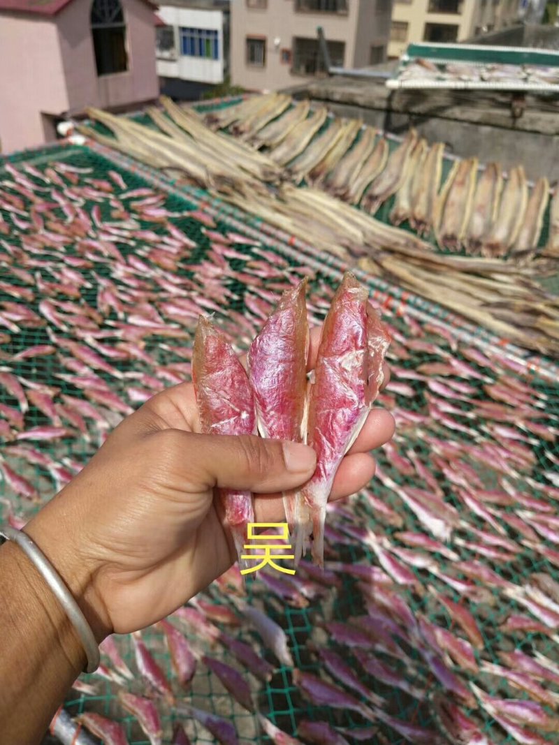 各种鱼干，鱼胶，蟮胶