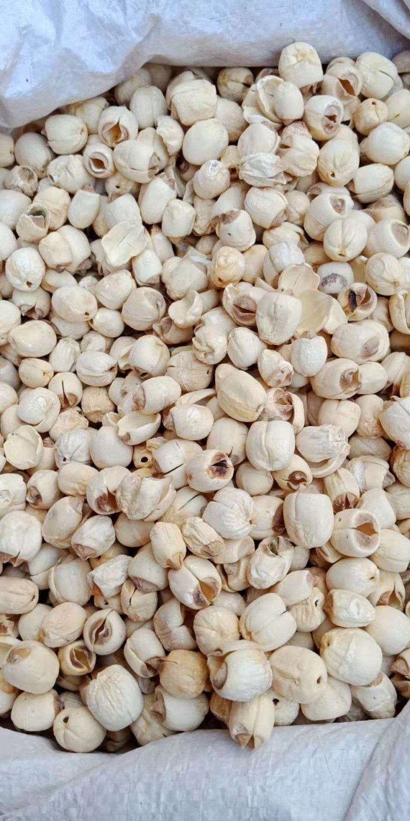 莲子去皮白莲子食用莲子纯手工剥皮