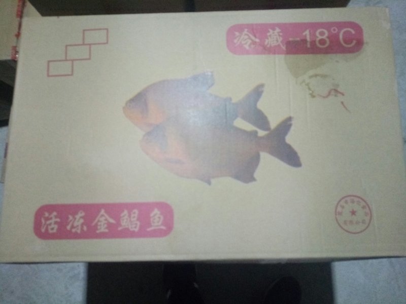 金红鲳、虾
