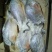 金红鲳、虾