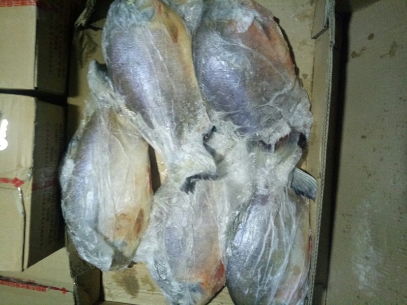 金红鲳、虾