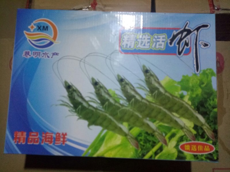 金红鲳、虾