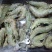 金红鲳、虾