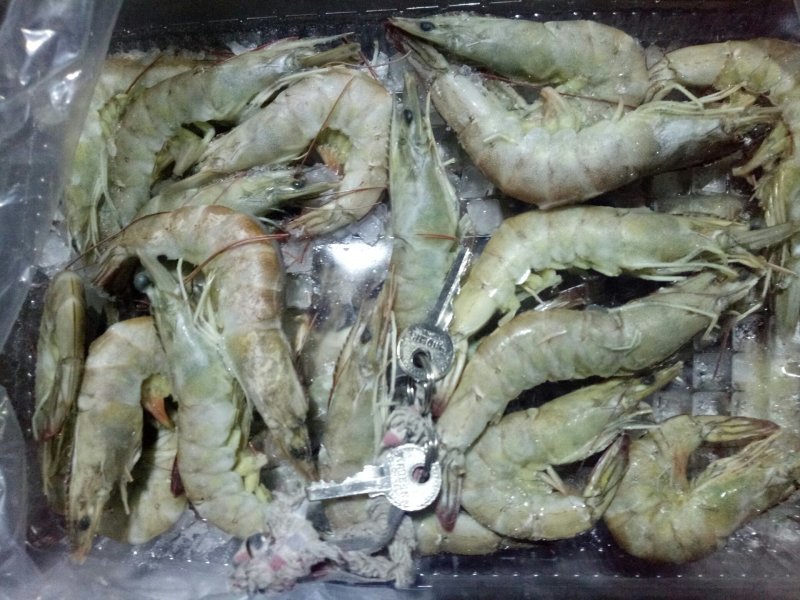 金红鲳、虾