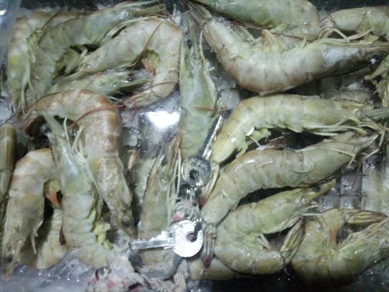 金红鲳、虾