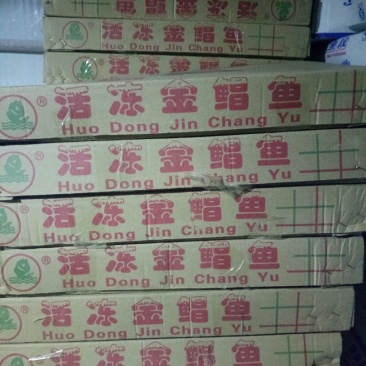 金红鲳、虾