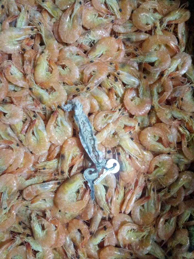 金红鲳、虾